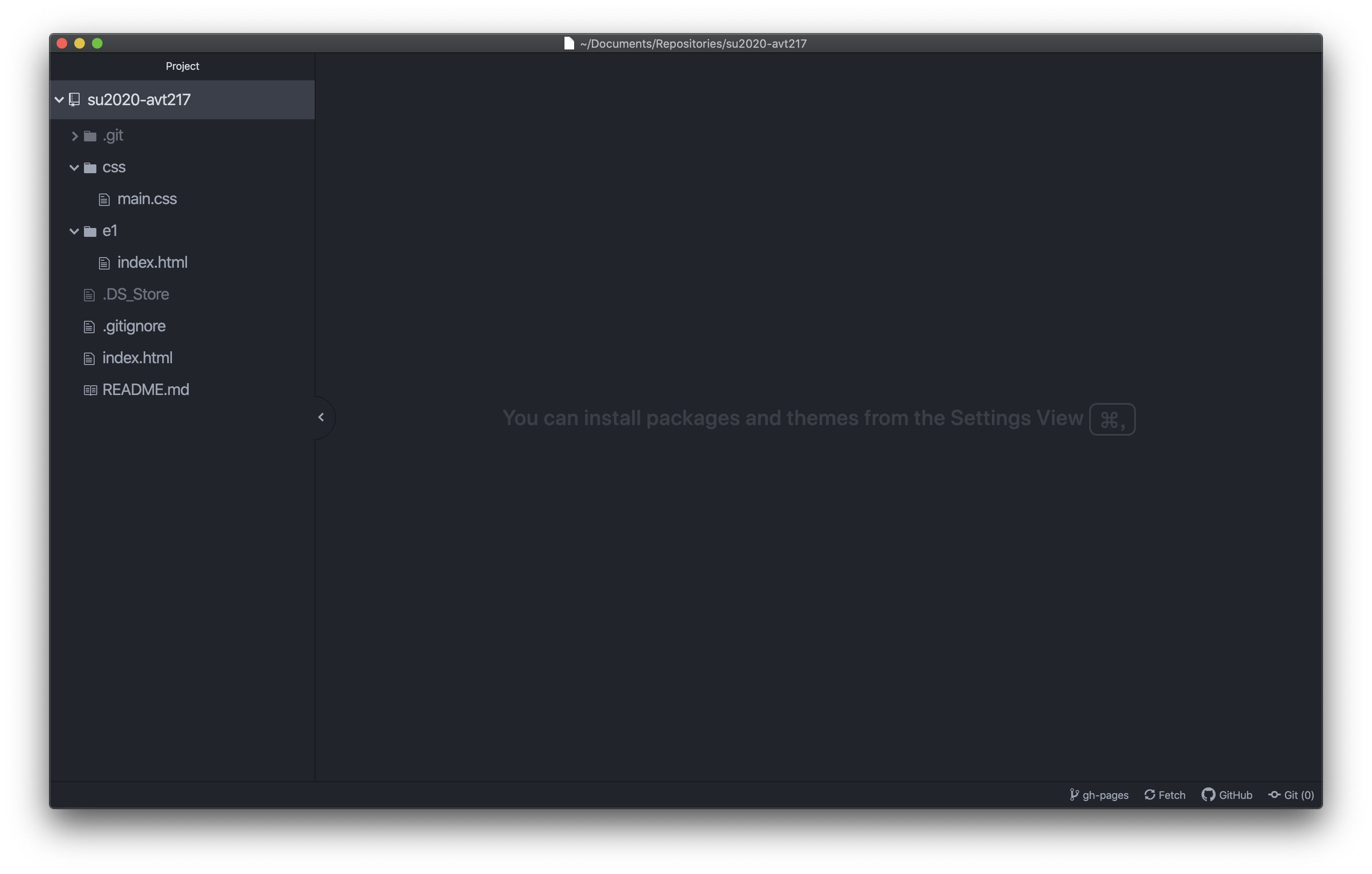 repository opened in Atom